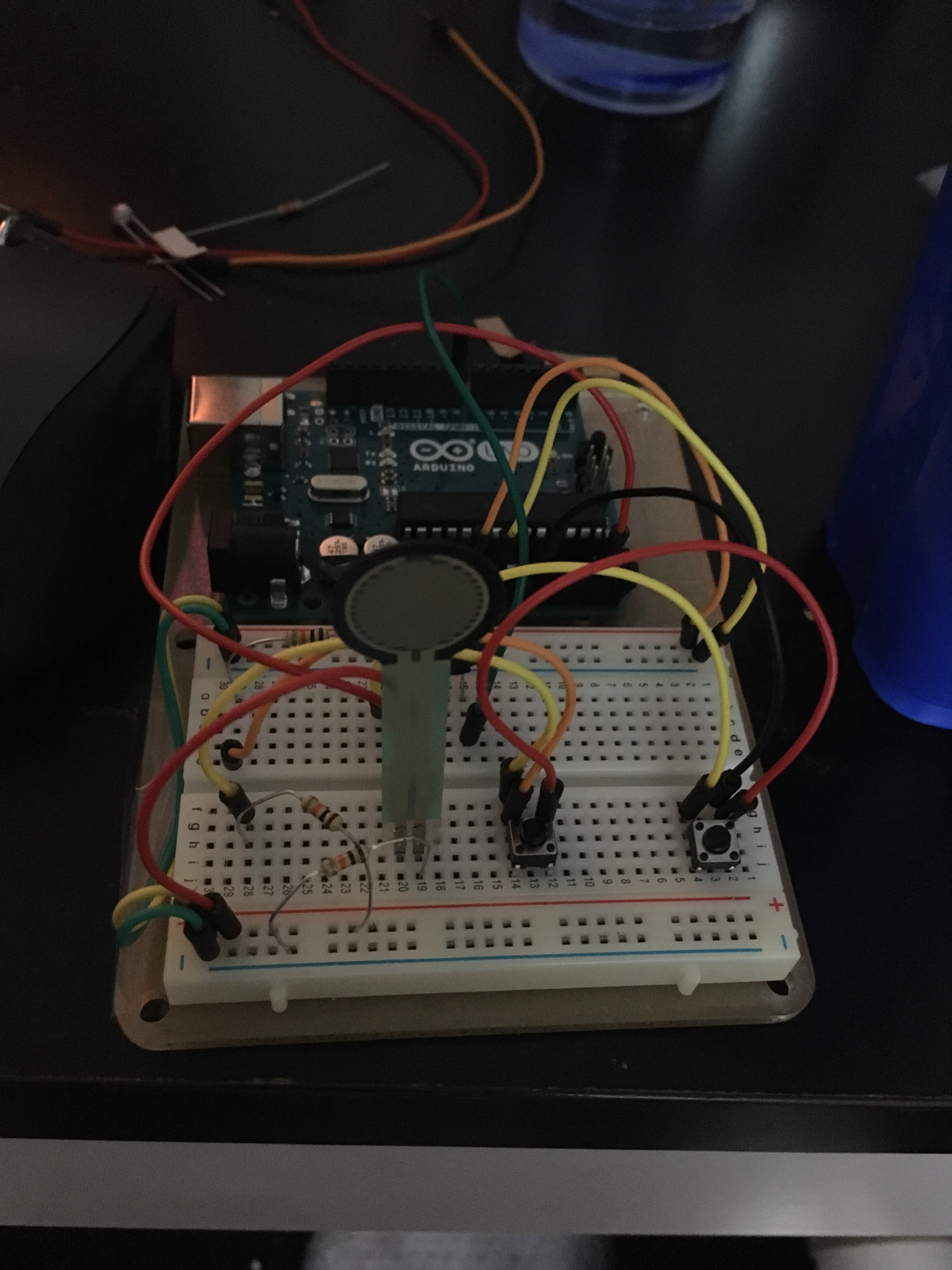 Musical Instrument